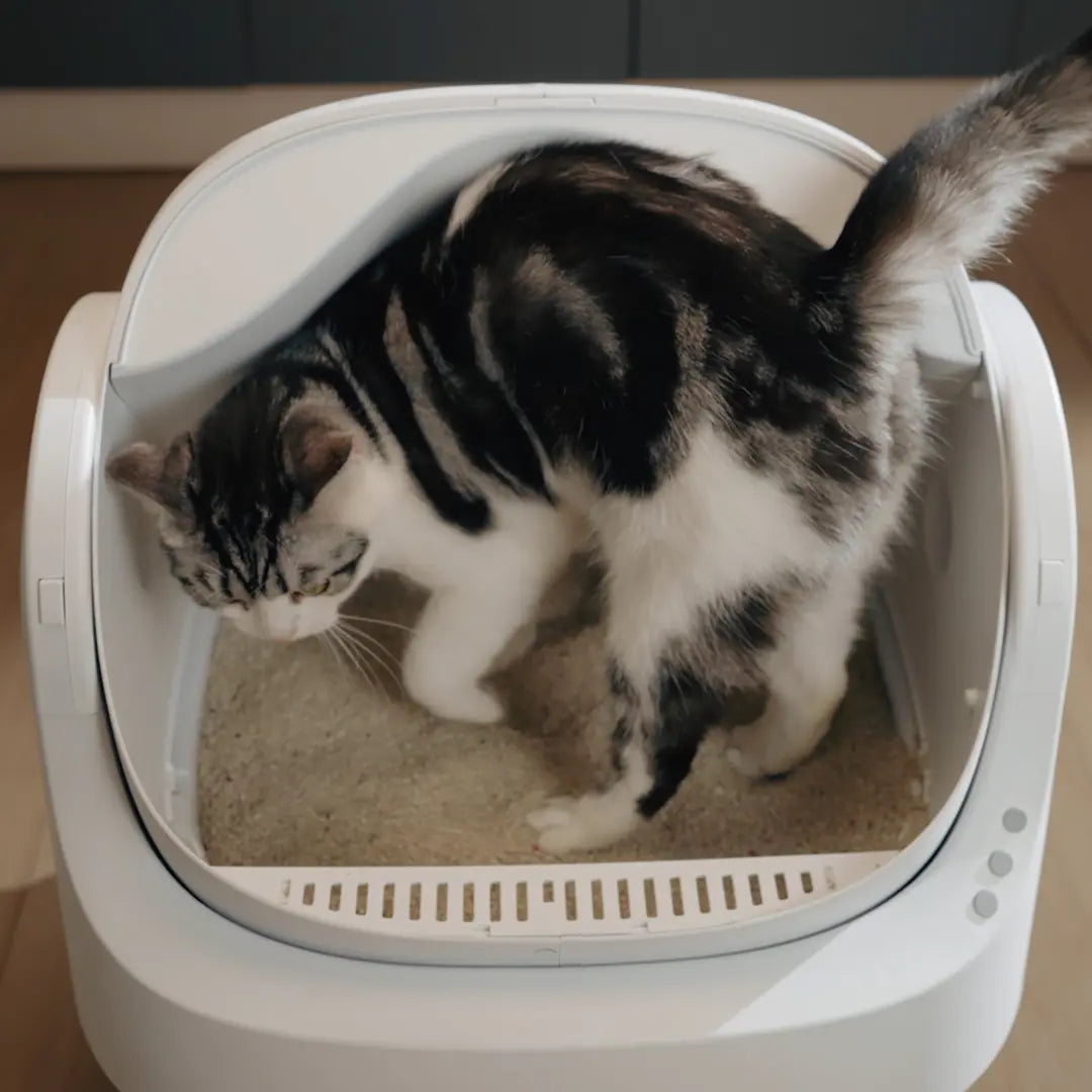 Petpivot Autoscooper 11 Open-Top Self-Cleaning Cat Litter Box with Odor-Free Waste Disposal and Trash Bags for Pet Lovers