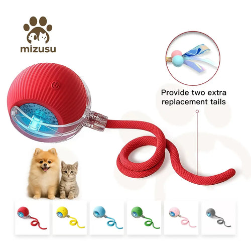 Mizusu Interactive Teaser Toy for Cats and Dogs with Two Additional Tails - Kitten Rolling Ball Toy and Pet Accessories