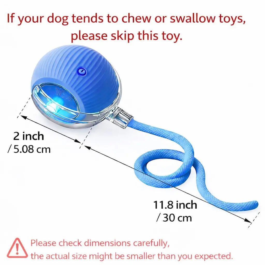 Mizusu Interactive Teaser Toy for Cats and Dogs with Two Additional Tails - Kitten Rolling Ball Toy and Pet Accessories