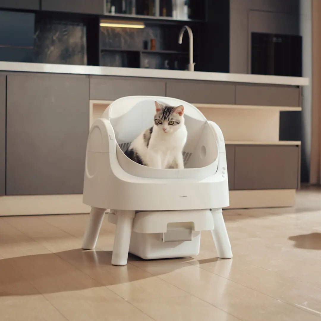 Petpivot Autoscooper 11 Open-Top Self-Cleaning Cat Litter Box with Odor-Free Waste Disposal and Trash Bags for Pet Lovers