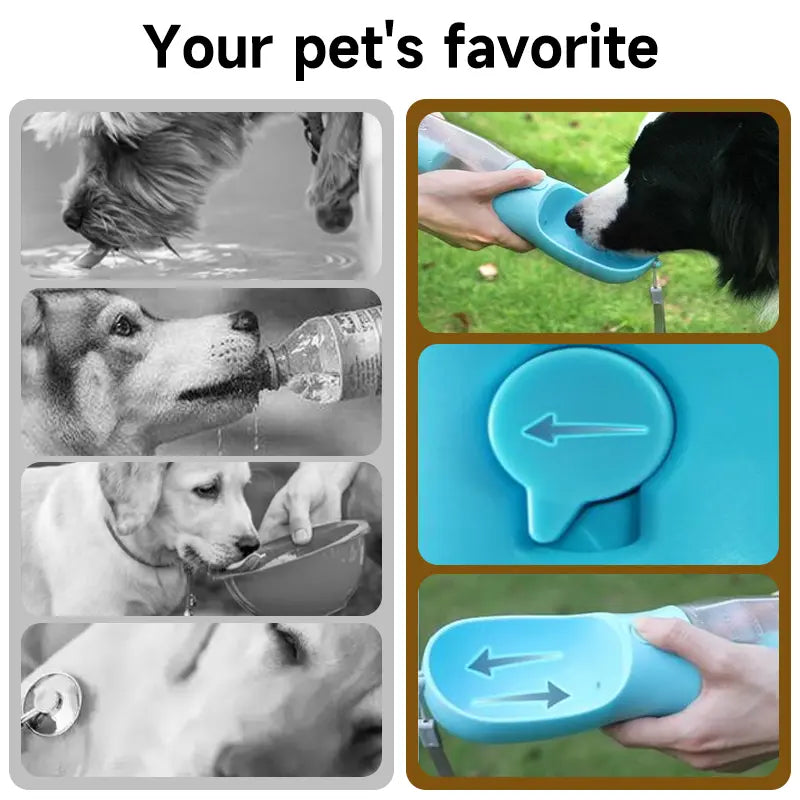 3-in-1 Portable Water Bottle for Dogs with Food Container and Poop Bag Holder - Ideal for Outdoor Activities, 20oz, Blue