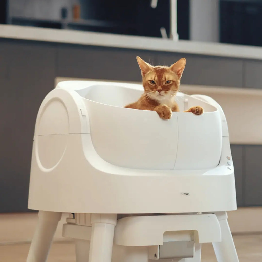 Petpivot Autoscooper 11 Open-Top Self-Cleaning Cat Litter Box with Odor-Free Waste Disposal and Trash Bags for Pet Lovers