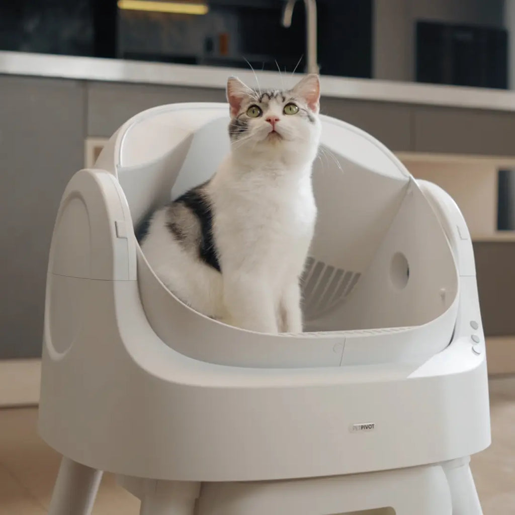 Petpivot Autoscooper 11 Open-Top Self-Cleaning Cat Litter Box with Odor-Free Waste Disposal and Trash Bags for Pet Lovers