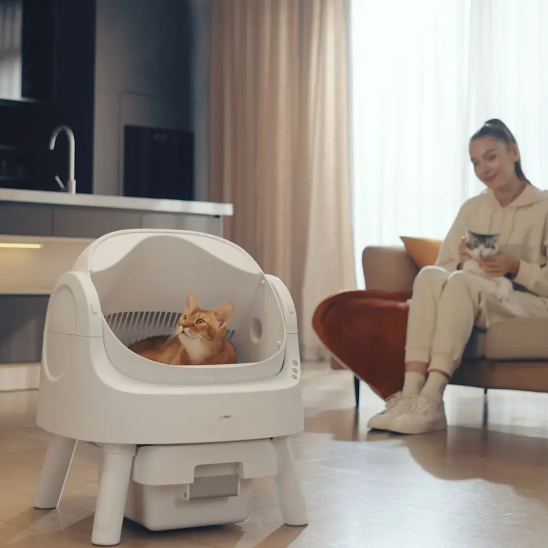 Petpivot Autoscooper 11 Open-Top Self-Cleaning Cat Litter Box with Odor-Free Waste Disposal and Trash Bags for Pet Lovers