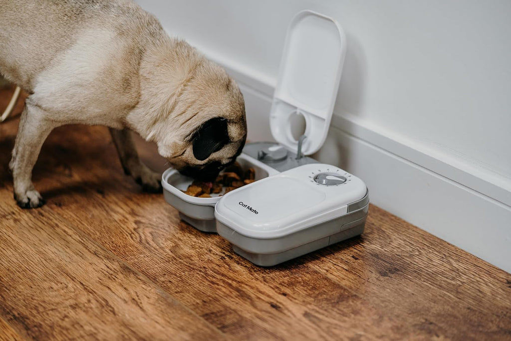 PawsJoy DuoFeast – 2-Meal Automatic Pet Feeder