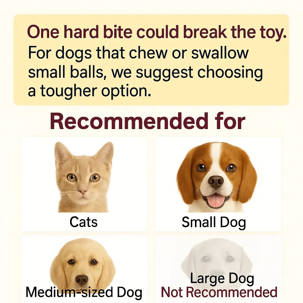Mizusu Interactive Teaser Toy for Cats and Dogs with Two Additional Tails - Kitten Rolling Ball Toy and Pet Accessories