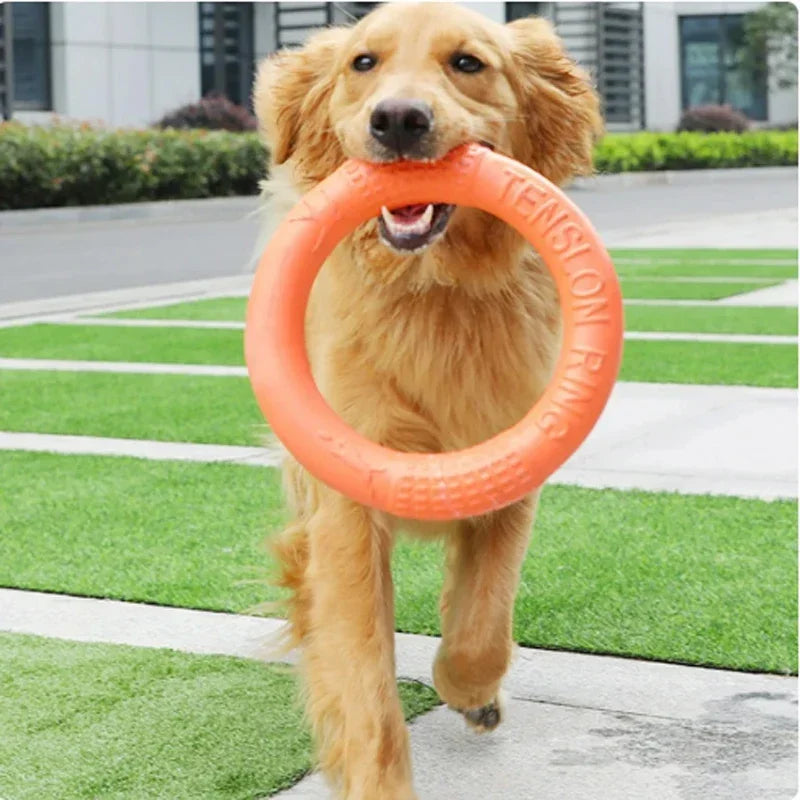 Durable EVA dog frisbee – interactive training toy