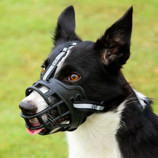 Adjustable breathable dog muzzle with reflective strip – allows drinking