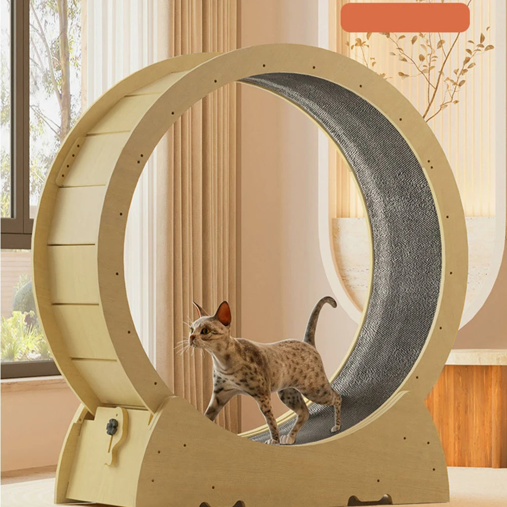 Durable 110cm cat exercise wheel with carpeted runway and safety lock