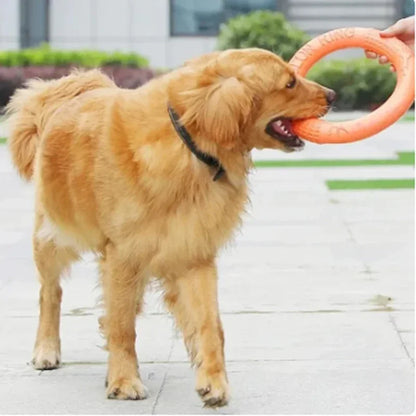 Durable EVA dog frisbee – interactive training toy