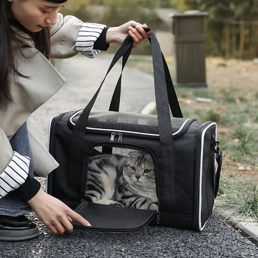 Foldable breathable pet backpack – perfect for travel with cats and small dogs