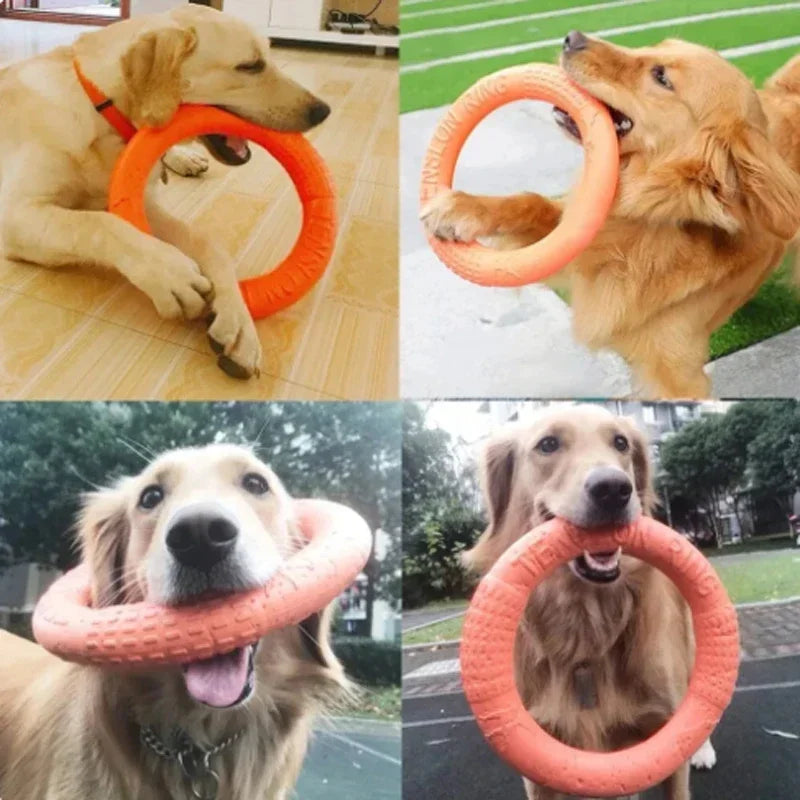 Durable EVA dog frisbee – interactive training toy