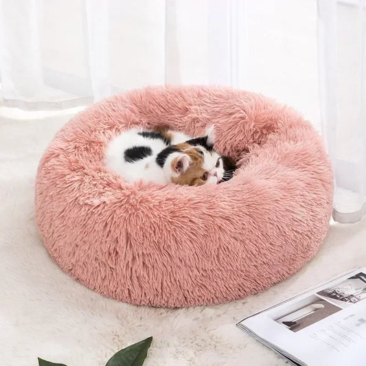 soft and pleasant sofa for cats and dogs