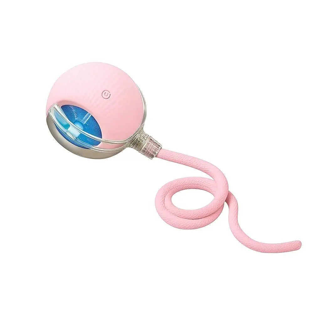 Mizusu Interactive Teaser Toy for Cats and Dogs with Two Additional Tails - Kitten Rolling Ball Toy and Pet Accessories