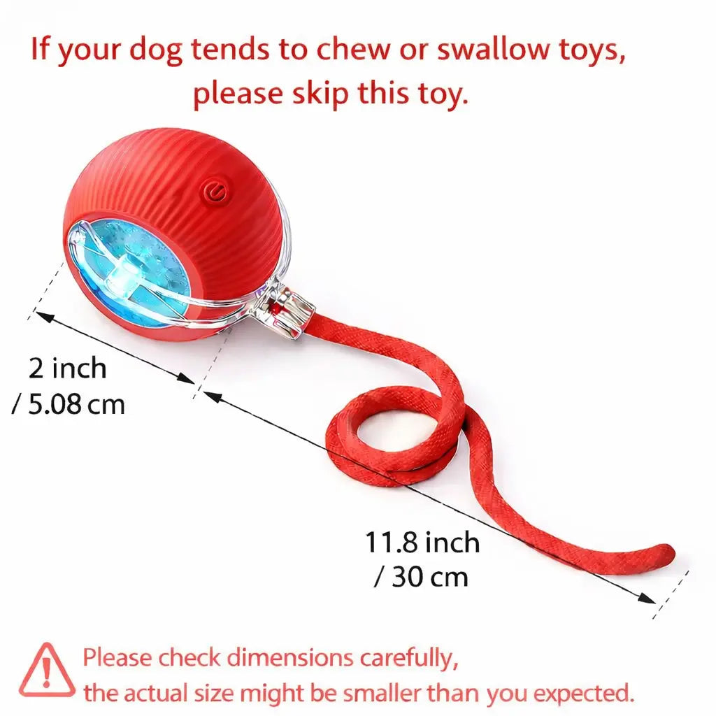 Mizusu Interactive Teaser Toy for Cats and Dogs with Two Additional Tails - Kitten Rolling Ball Toy and Pet Accessories