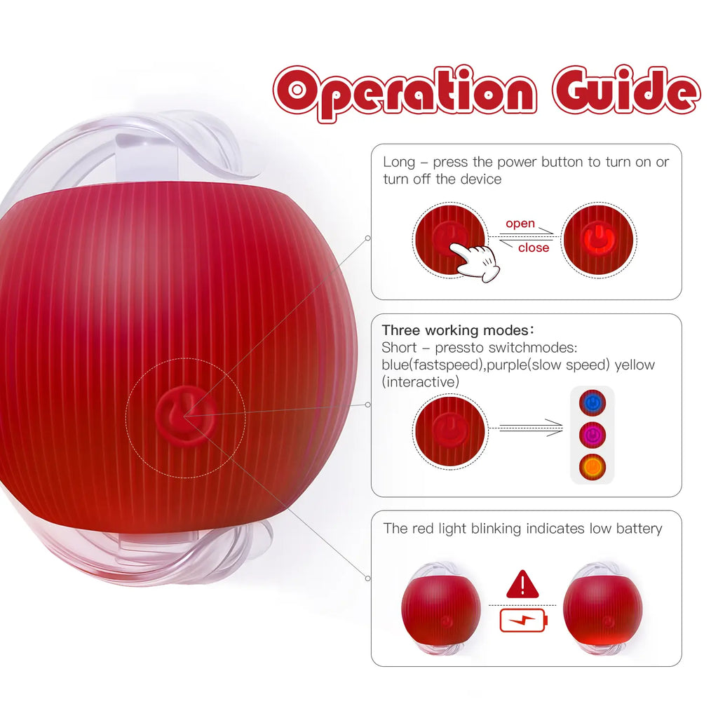 Mizusu Interactive Teaser Toy for Cats and Dogs with Two Additional Tails - Kitten Rolling Ball Toy and Pet Accessories