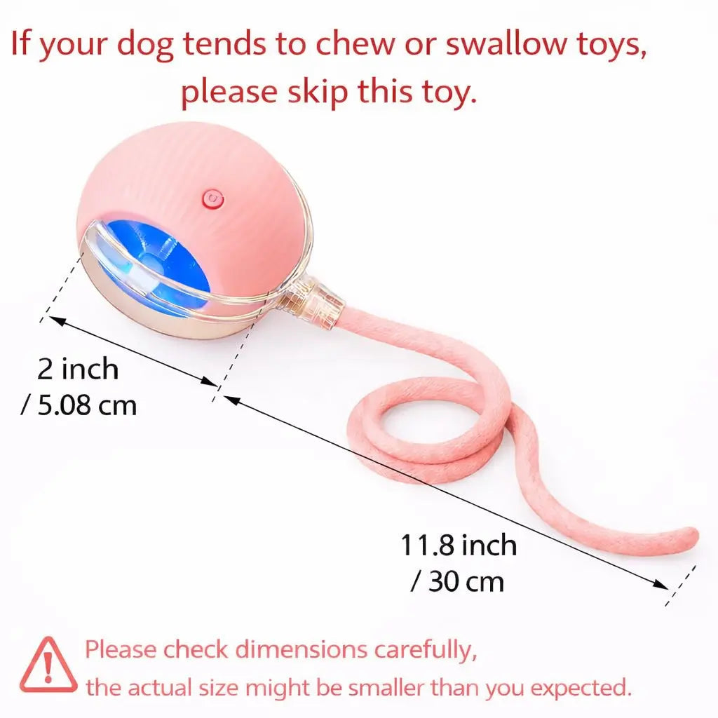 Mizusu Interactive Teaser Toy for Cats and Dogs with Two Additional Tails - Kitten Rolling Ball Toy and Pet Accessories