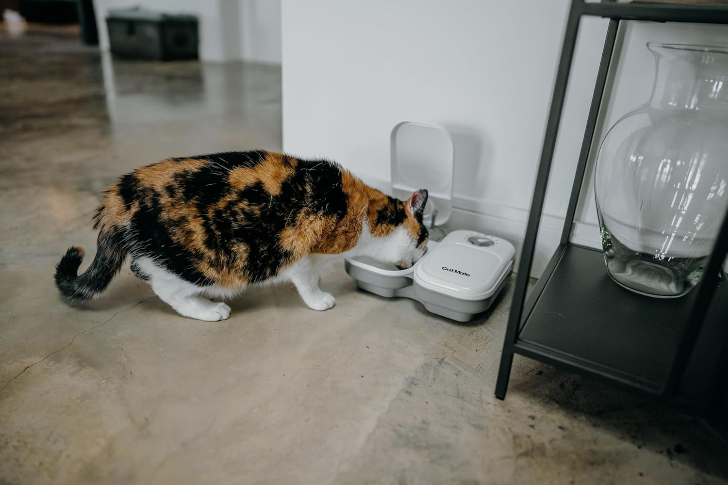PawsJoy DuoFeast – 2-Meal Automatic Pet Feeder